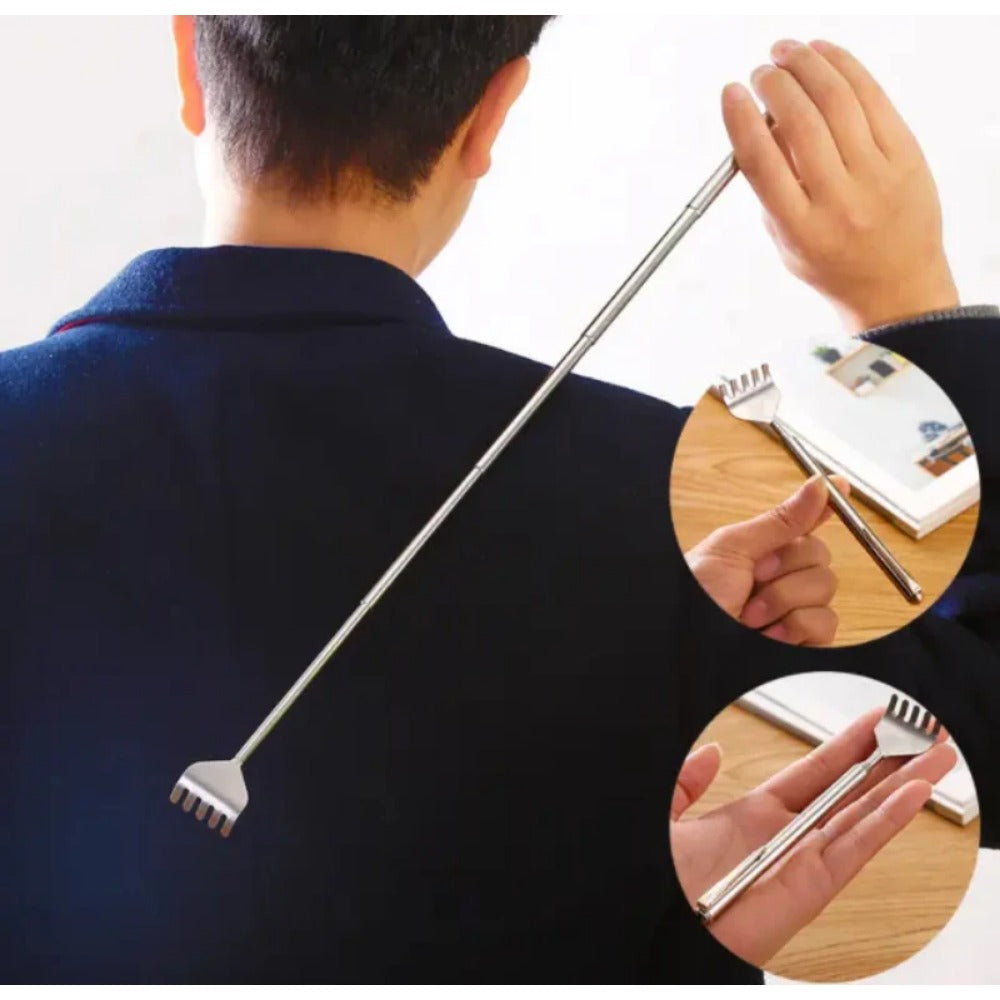Stainless Steel Scratcher pack of 2