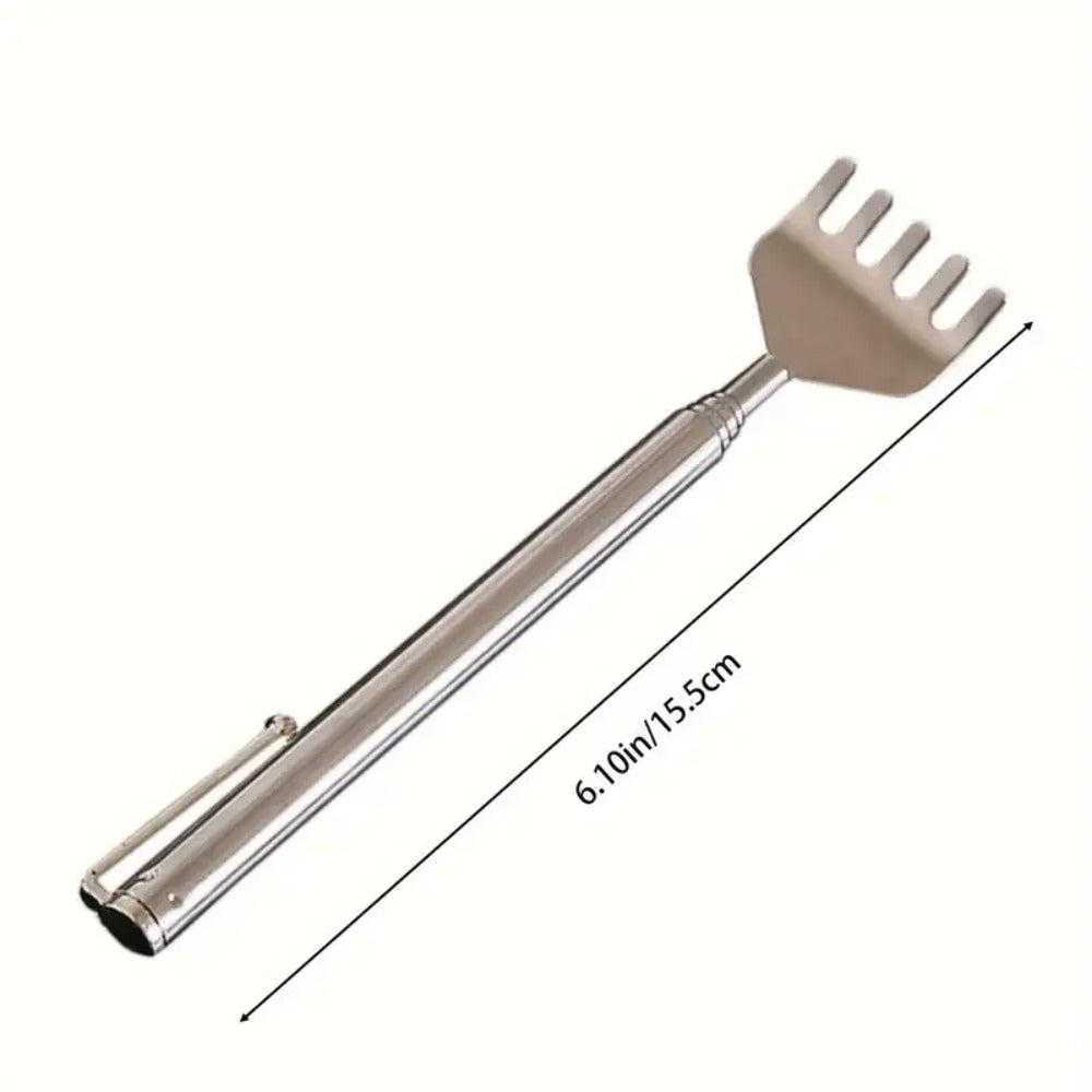 Stainless Steel Scratcher pack of 2