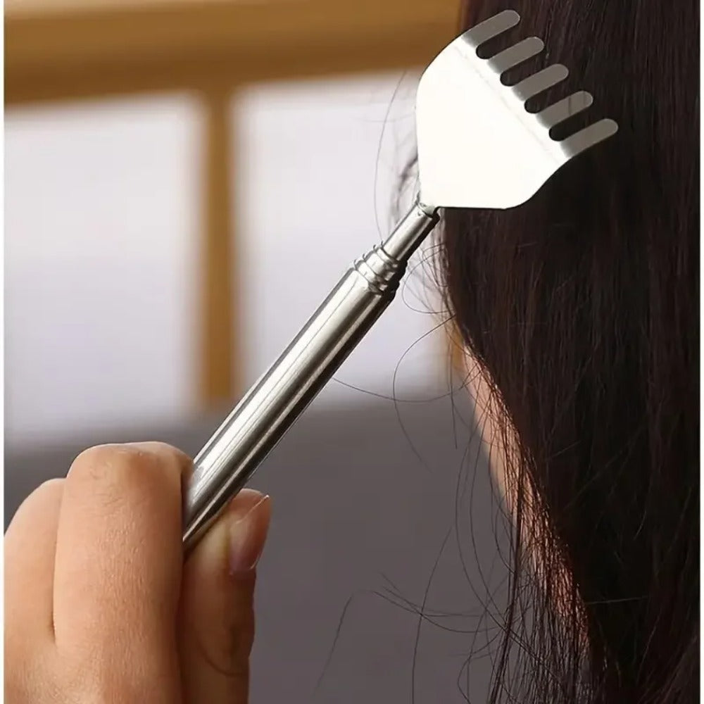 Stainless Steel Scratcher pack of 2