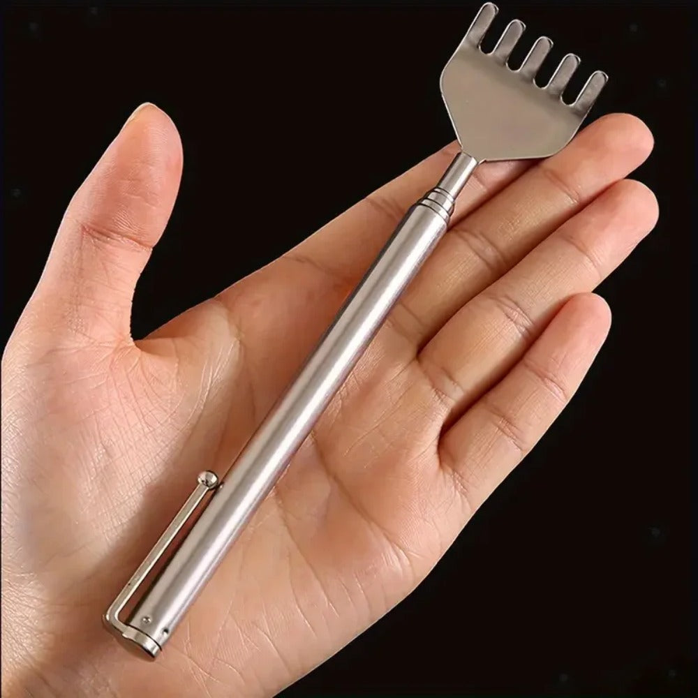 Stainless Steel Scratcher pack of 2