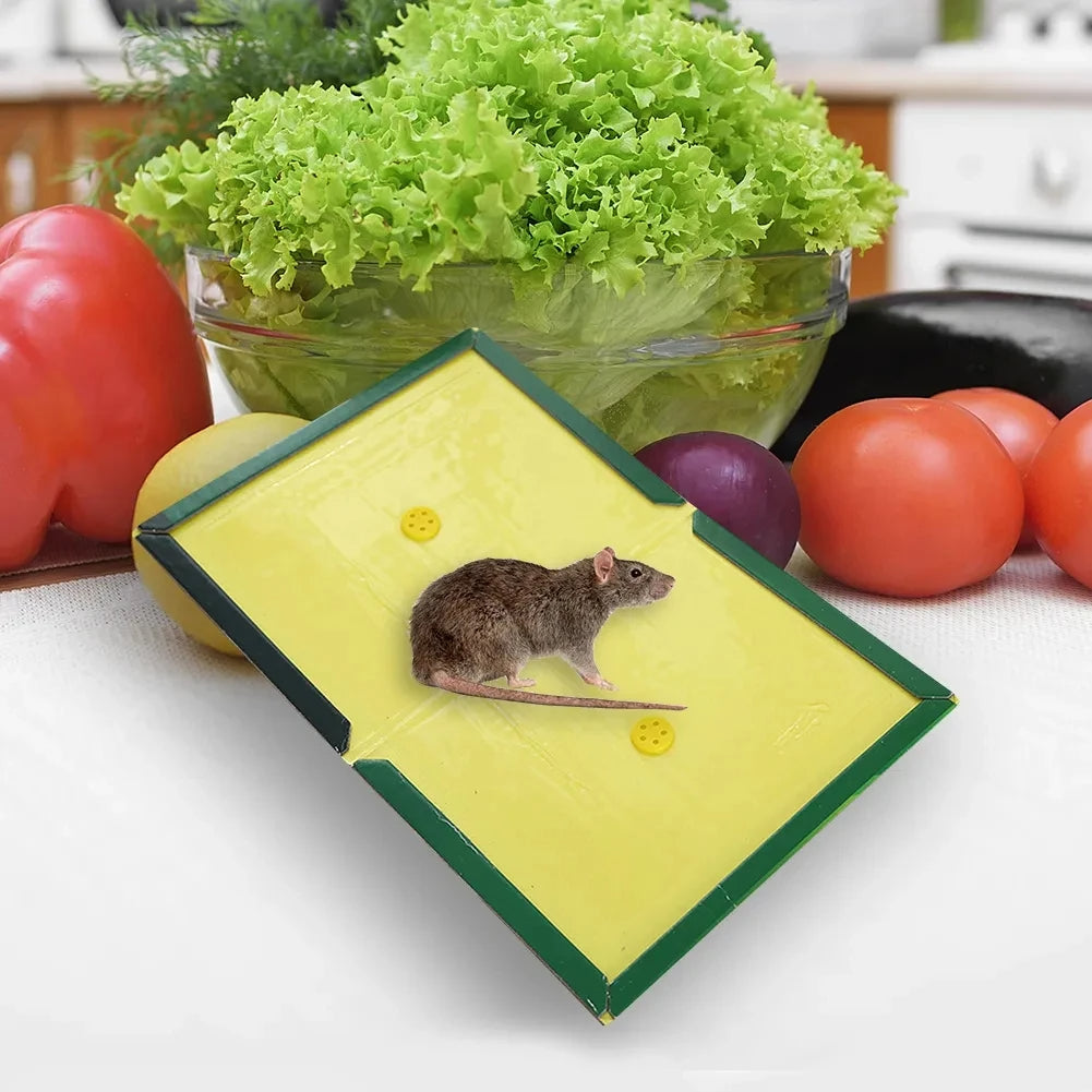 RATROLL GLUE TRAP ( BUY 1 GET 1 FREE )