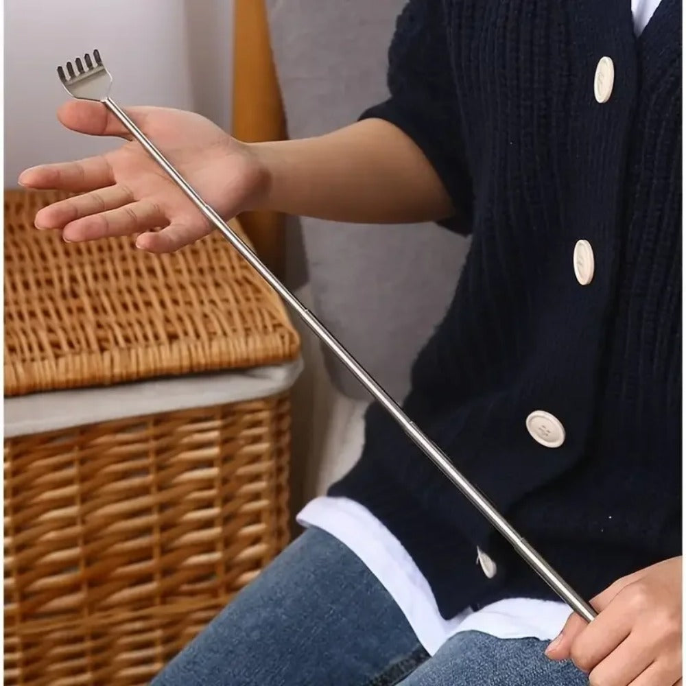 Stainless Steel Scratcher pack of 2