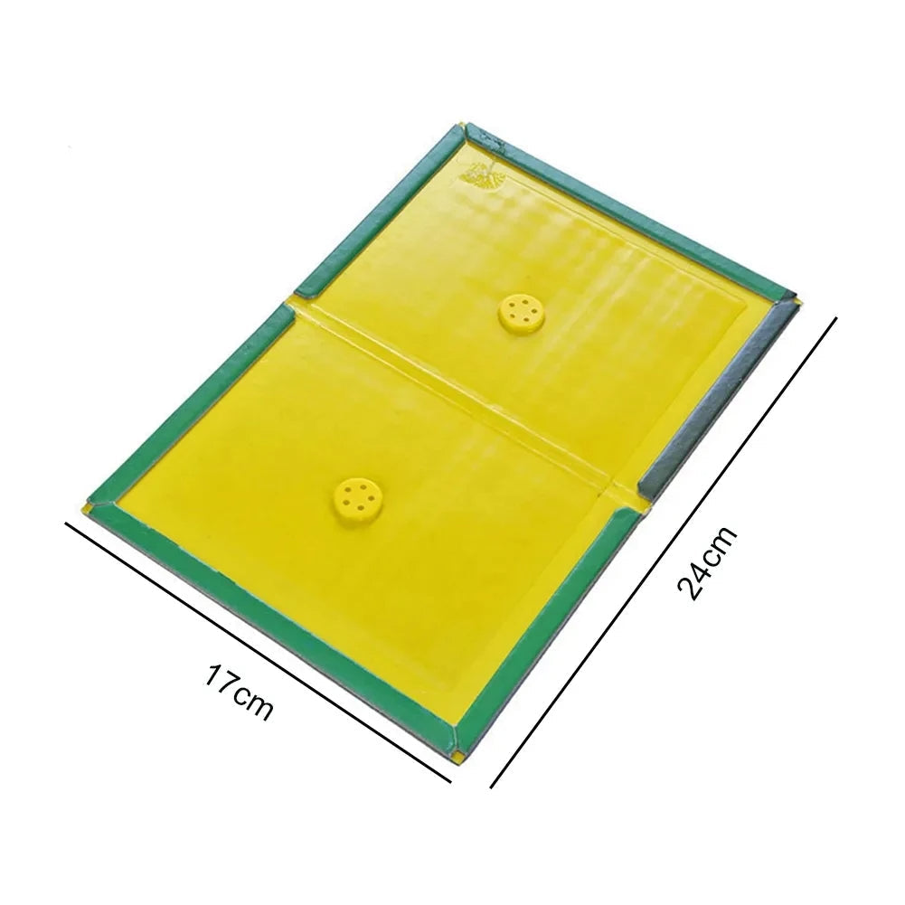 RATROLL GLUE TRAP ( BUY 1 GET 1 FREE )